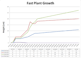 Wisconsin Fast Plants Fertilizer Experiment Fast Plant