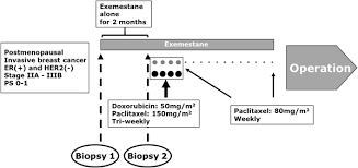 For treatment options for stage iiib, inoperable stage iiic, and inflammatory breast cancer, see treatment of locally advanced inflammatory breast cancer. Plos One Utility Of Ki67 Labeling Index Cyclin D1 Expression And Er Activity Level In Postmenopausal Er Positive And Her2 Negative Breast Cancer With Neoadjuvant Chemo Endocrine Therapy