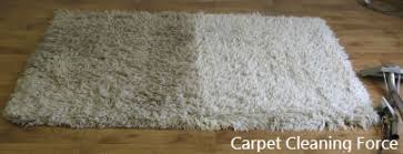 north s carpet cleaning