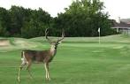 Lago Vista Golf Course in Lago Vista, Texas, USA | GolfPass