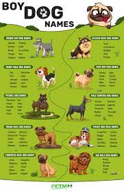 2023 best boy dog names backed with