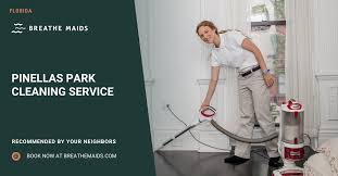 pinellas park cleaning service