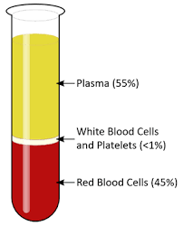 blood plasma key se wiki