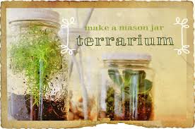 Make A Diy Mason Jar Terrarium