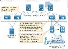 cisco apic layer 3 networking