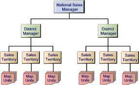What Is A Sales Hierarchy