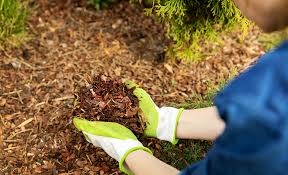 How To Pick The Right Color Mulch The