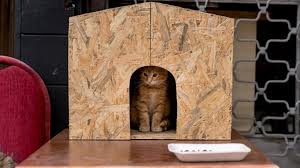 comment construire une maison pour chat