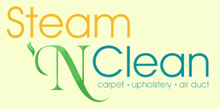 steam n clean carpet cleaning san go