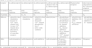Table 1 From Regulation Of Adrenoceptors And Muscarinic