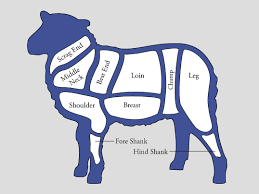 Lamb Meat Diagram Catalogue Of Schemas