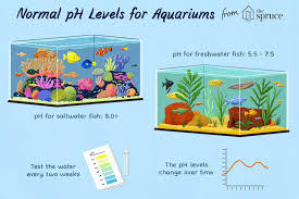 aquarium water ph maintenance