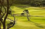 Portsea Golf Club in Portsea, Mornington/Bellarine, Australia ...