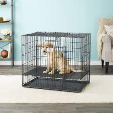 collapsible wire puppy crate
