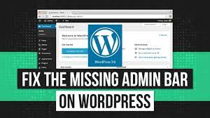 wordpress admin bar not showing how
