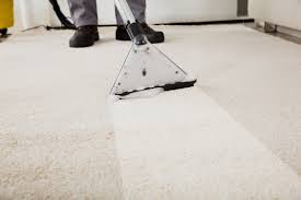 rocky mountain carpet and tile cleaning
