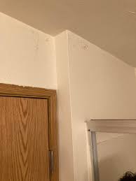 How do I know if mold is behind my drywall? - 5 Microns Inc