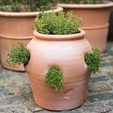 Terracotta Herb Pot Strawberry Pot