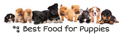 The chicken, brown rice and sweet potato are nutritious and tasty. Best Puppy Food 10 Healthy Wet Dry Dog Food Brands For Puppies