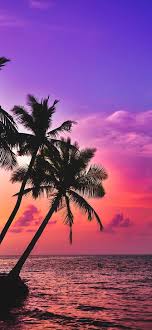 best sunset iphone 12 purple beach