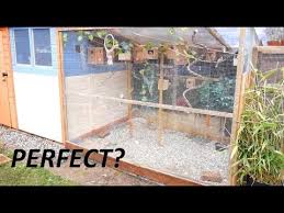 Building The Perfect Aviary You