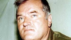 Mladic's wartime diary published on anniversary of massacre