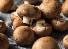 how-do-you-grow-brown-mushrooms-at-home