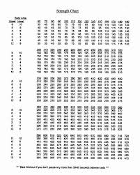 36 Studious Ymca Bench Press Test Chart