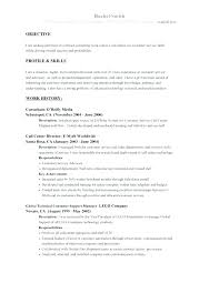International Business Resume Objective Interior Design Resume