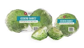 baby iceberg lettuce hitch farms