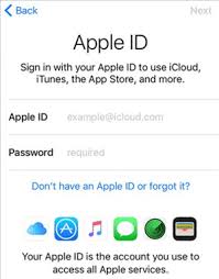 remove apple id from ipad without