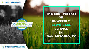 Should i water my lawn today? The Best Weekly Or Bi Weekly Lawn Care Service In San Antonio Tx Gomow