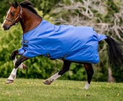 horse wear equine s and equipment