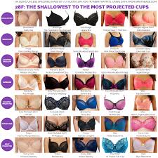 Guide 28f The Shallowest To The Most Projected Cups Full