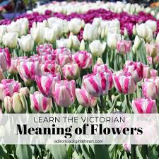 learn the victorian meaning of flowers