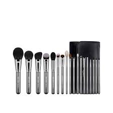 complete brush kit galaxy silver