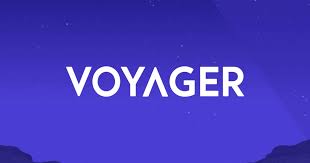 Vgx generates 5% interest when held in the voyager app and will soon offer cash back rewards, and other exclusive features. Voyager Token Vgx Cryptoslate