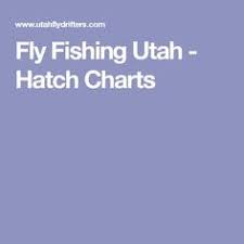 26 Best Essential Fly Patterns Images Trout Fly Tying