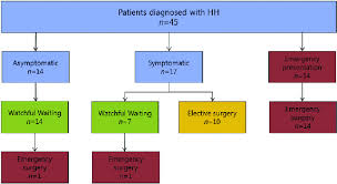 Flowchart Of Treatment Decisions At Hiatal Hernia Hh