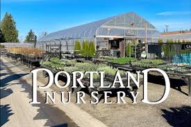 Portland Nursery On Division 82nd