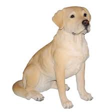 golden lab dog statue