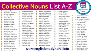Collective Nouns List A Z English Study Here