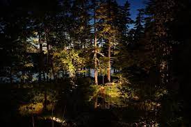 Moonlighting Landscape Lighting Systems