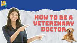 how to become a veterinary doctor ch