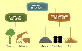 Types Of Natural Resources