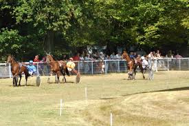 Festivals de courses de chevaux
