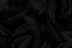 black desktop wallpapers images free