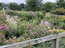 operating victory garden