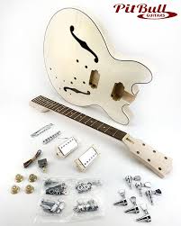 es 1f diy electric guitar kit pit