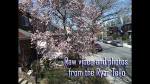 Using a combination of dji's reliable technology. Ryze Tello Sample Video And Photos And My Thoughts Youtube